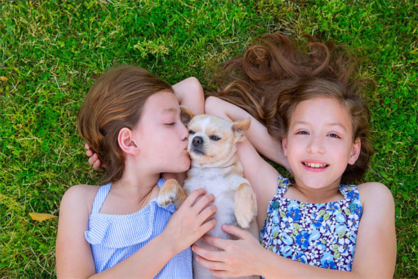 广州助孕龙凤胎那个机构成功率高啊? 广州助孕龙凤胎成功率高的机构名单推荐!