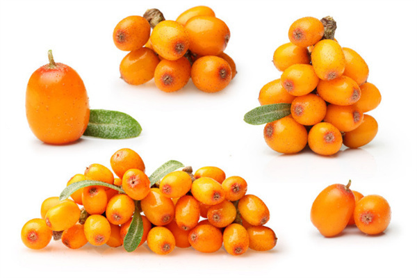 杭州三十九岁助孕那家医院成功率最高? 杭州三十九岁助孕医院成功率排名前十名!