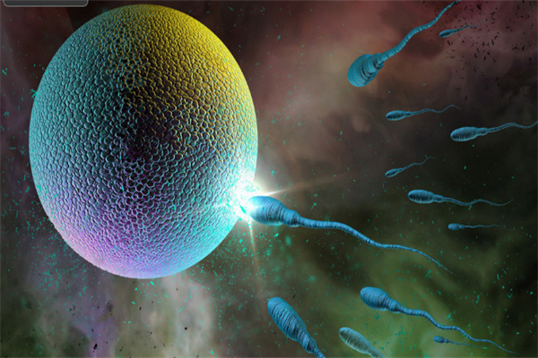 杭州一代助孕二代助孕哪个医院便宜? 杭州一代助孕二代助孕医院费用价格表!