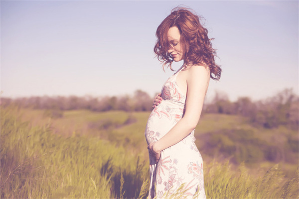 成都3天胚做助孕哪家机构成功率高？ 成都3天胚做助孕成功率高的机构名单推荐！