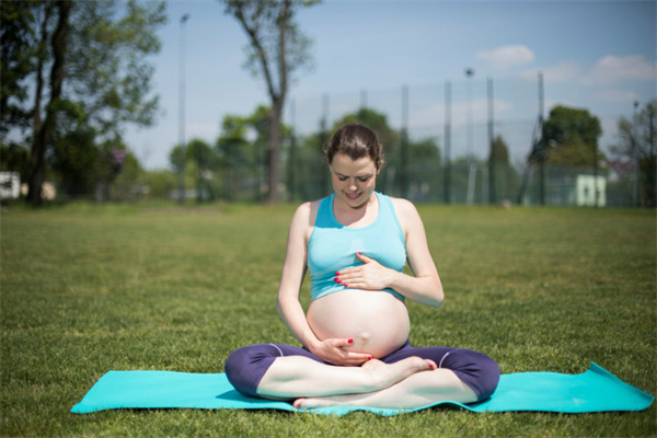 上海助孕移植胚胎成功率有多高？ 上海助孕移植胚胎成功率高的机构排名推荐！