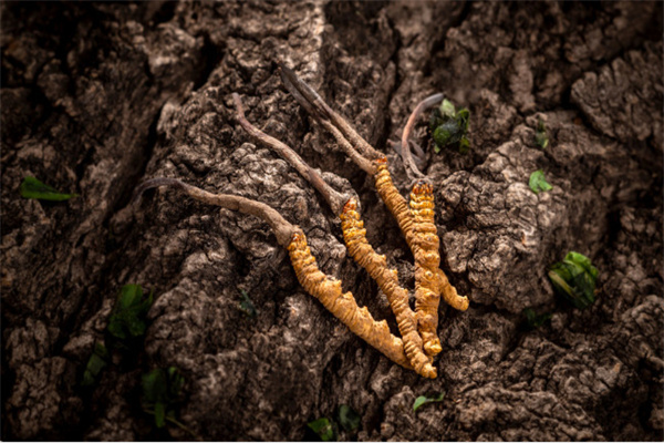 上海37岁助孕成功正规助孕医院排行榜！上海曙光医院和上海第九人民医院等优势全面解读！